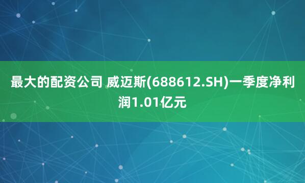 最大的配资公司 威迈斯(688612.SH)一季度净利润1.01亿元