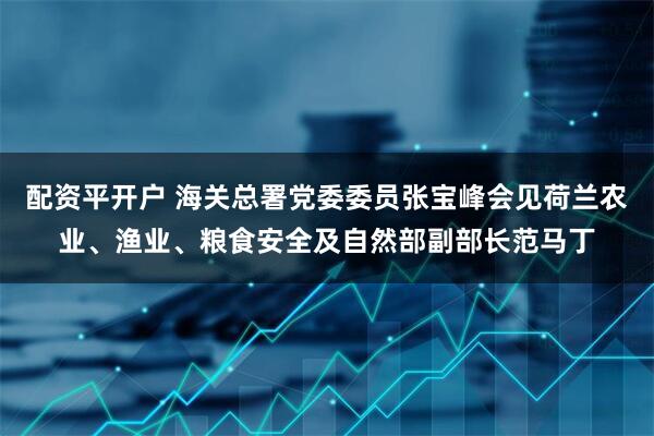 配资平开户 海关总署党委委员张宝峰会见荷兰农业、渔业、粮食安全及自然部副部长范马丁